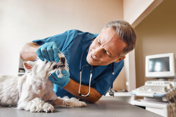 Best Emergency Dentist for Special Needs Patients in Sebring, FL